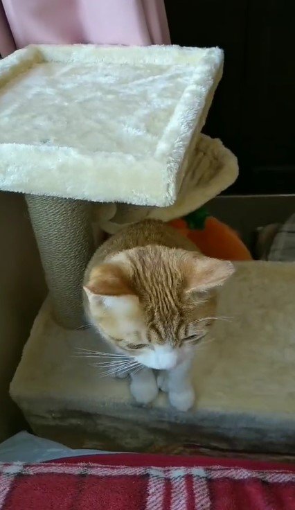 出所：@mero627puri914