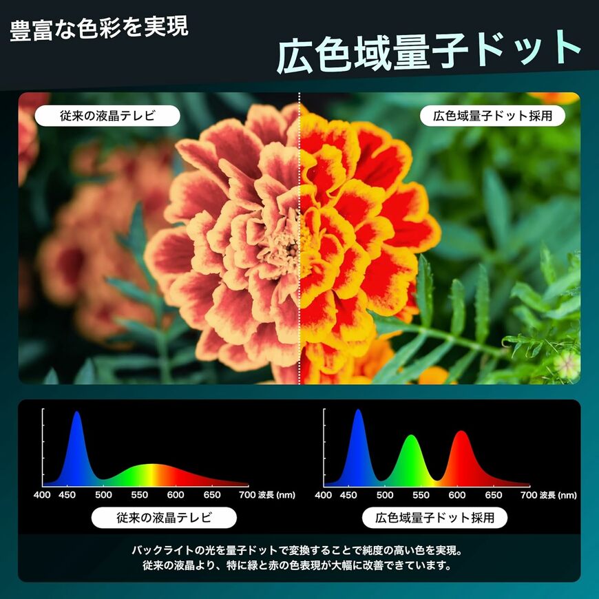 出所：ハイセンスジャパン株式会社