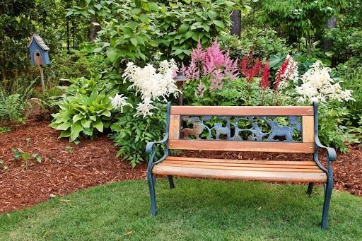 Ariel Bravy/shutterstock.com