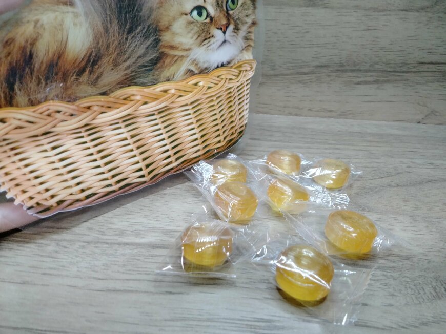 筆者撮影（セリア、持ち手付ギフトバッグ3P 猫）