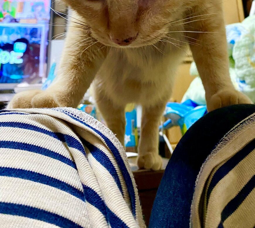 出所：@luna7taka9