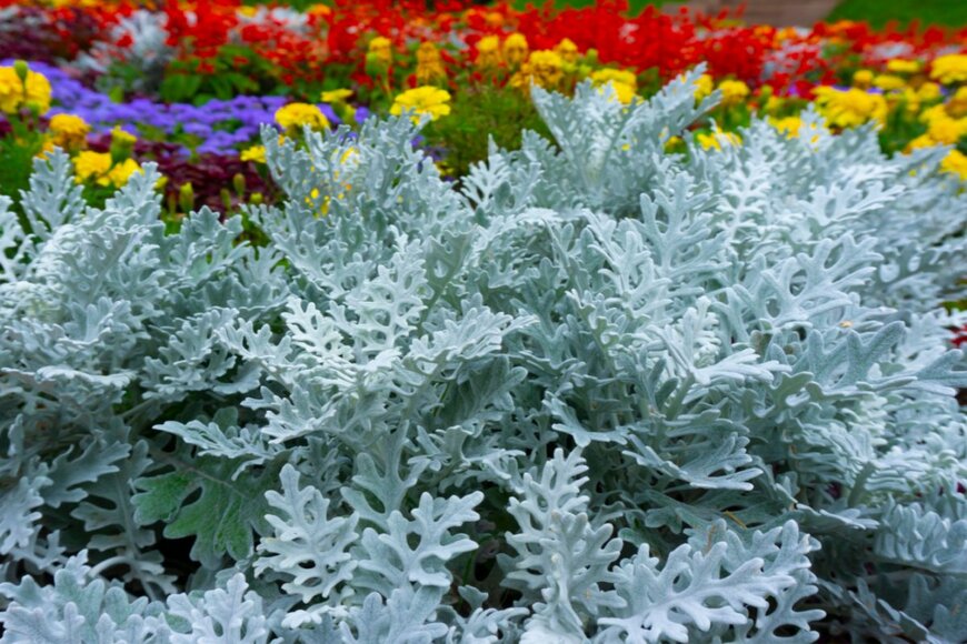 Catherine_P/shutterstock.com