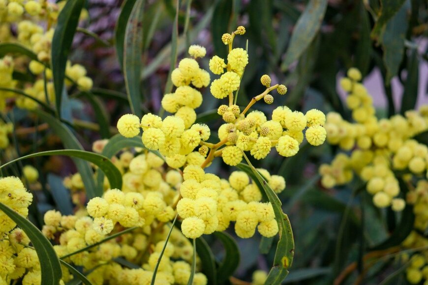 Veronica Todaro/istockphoto.com