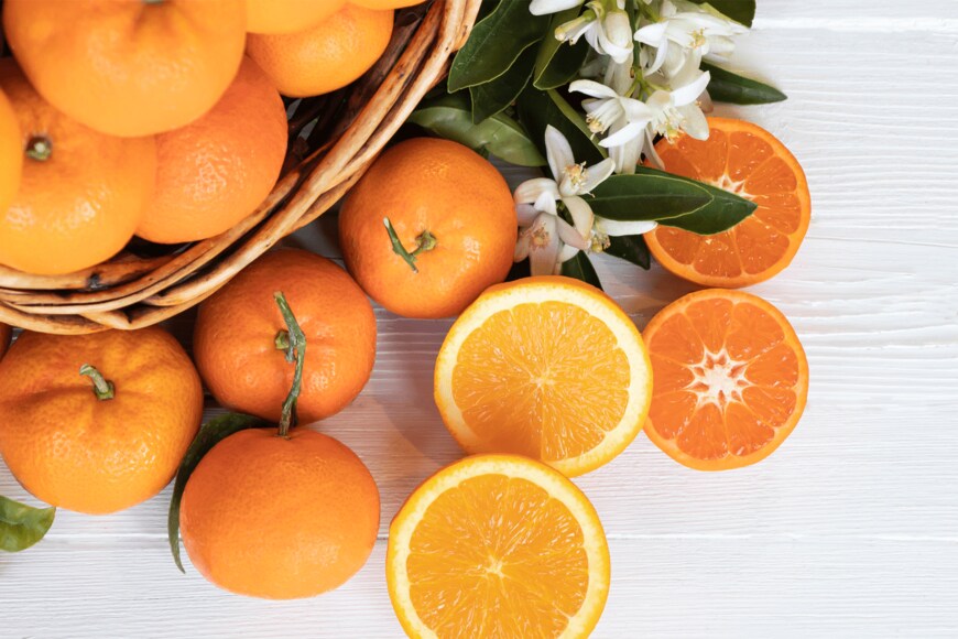 PradaBrown/shutterstock.com