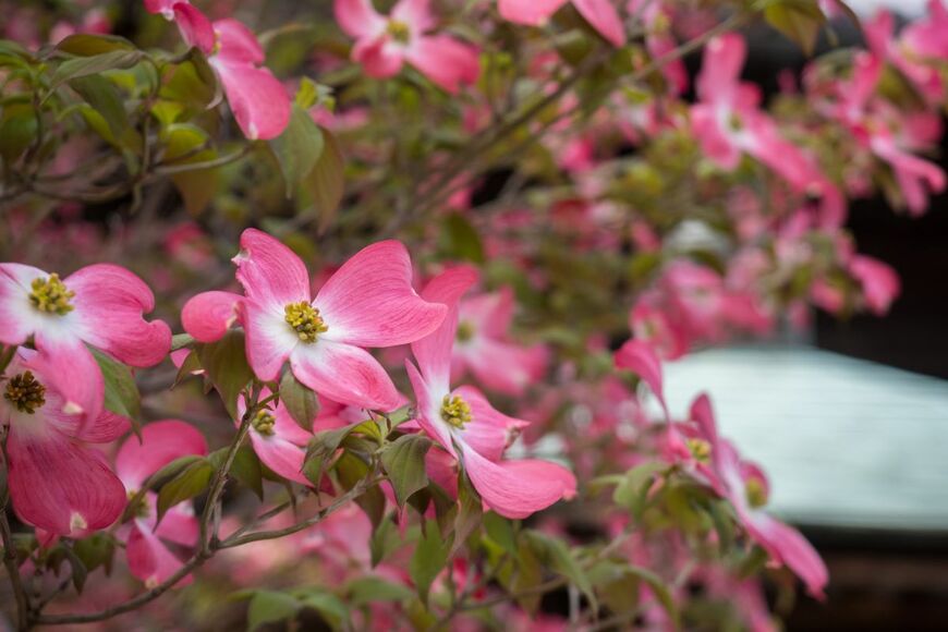 Amehime/shutterstock.com