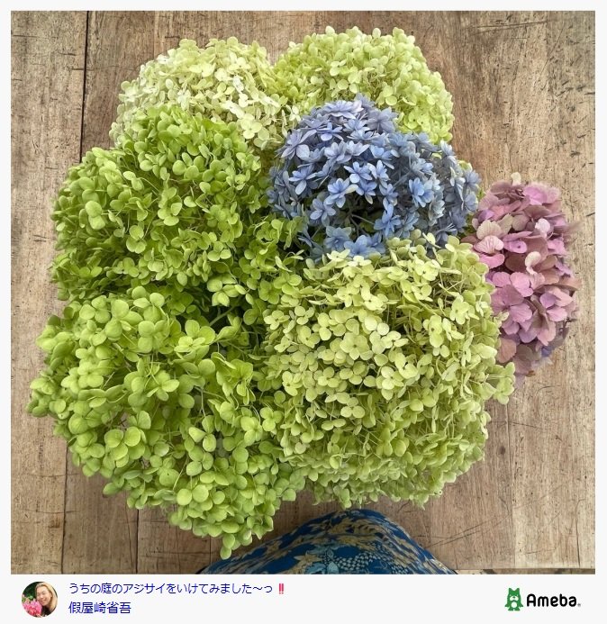 出所：假屋崎省吾のAmebaブログ 参照日：2025年7月9日