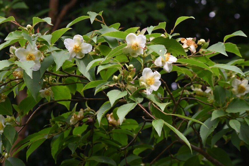 undefined undefined/istockphoto.com