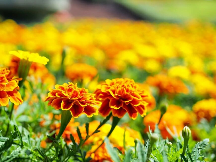 akatuki/istockphoto.com