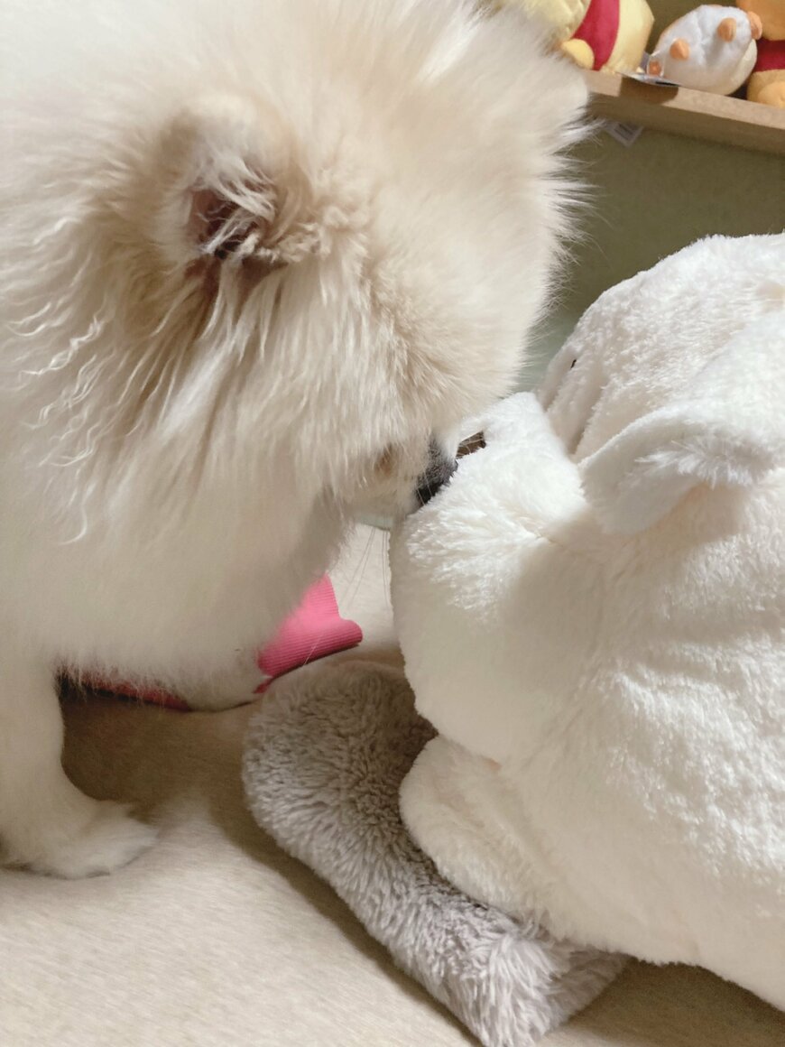 出所：@chikuwa78107742