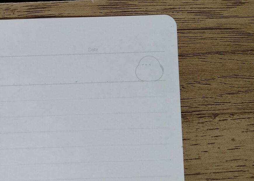 筆者撮影（セリア、B5ルーズリーフ A罫 もふもふばーど 30枚）