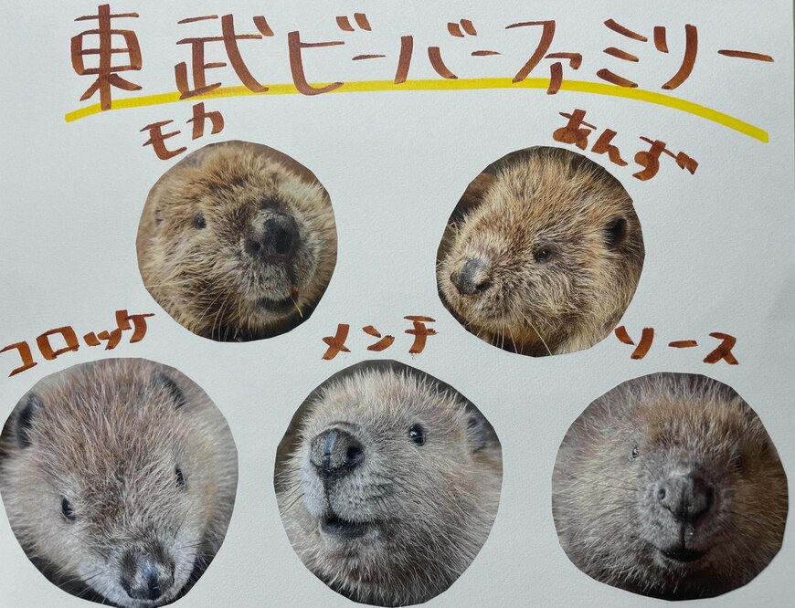 東武動物公園