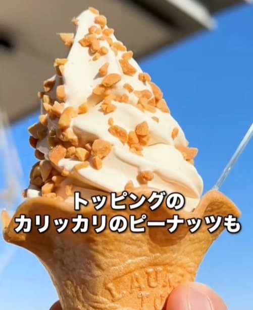 トッピングのピーナッツが美味しいソフトクリーム