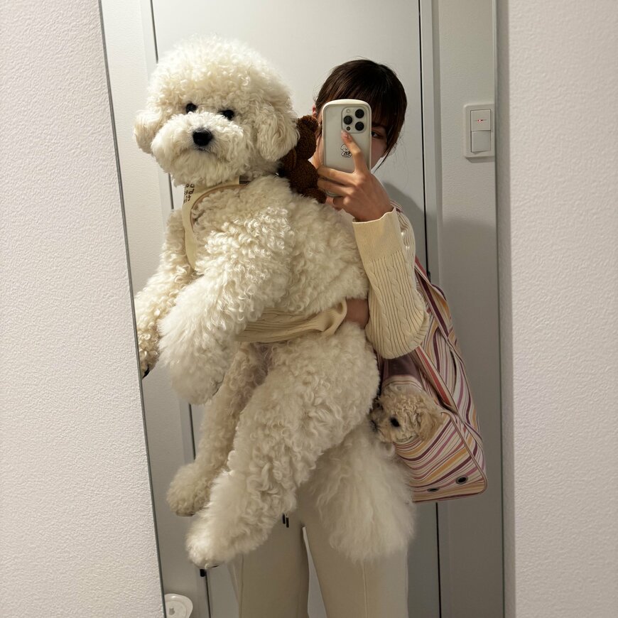大きな犬と飼い主