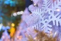 【精神障害者保健福祉手帳】所持者154万人超「5年連続増加！1年で約10万人も増えている！」FPが解説「どんな支援を受けられる？」