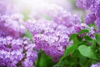 国民年金保険料は「前納」でまとめて前払いがお得！使える納付方法も紹介