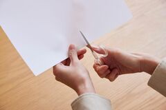 キジトラ猫の切り絵を制作　毛並みや瞳まで表現された繊細な作品に「すごい器用」「質感が半端ない」と反響