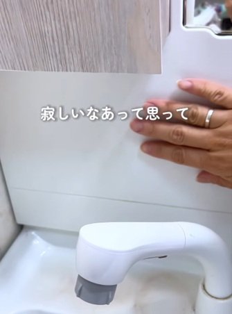 さみしさを感じていたというバックスプラッシュ