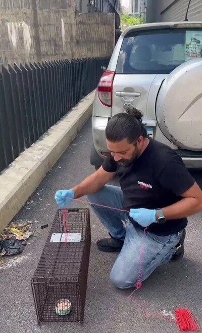 ロープを結んだ捕獲用ケージを準備する男性