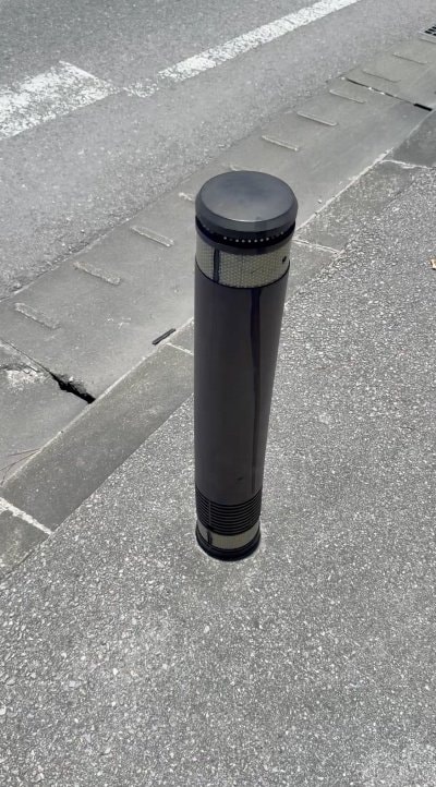 投稿の画像
