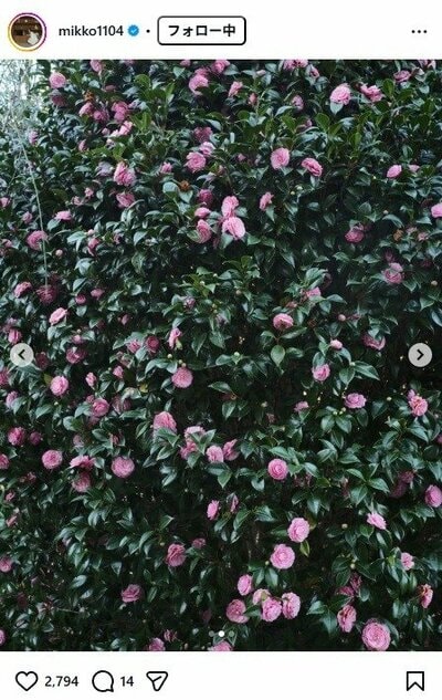 矢野未希子のInstagram投稿