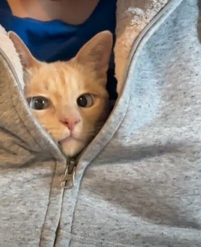 赤ちゃん返りしたバブ顔が癒される