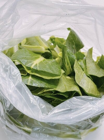 渡辺美奈代の公式ブログ投稿