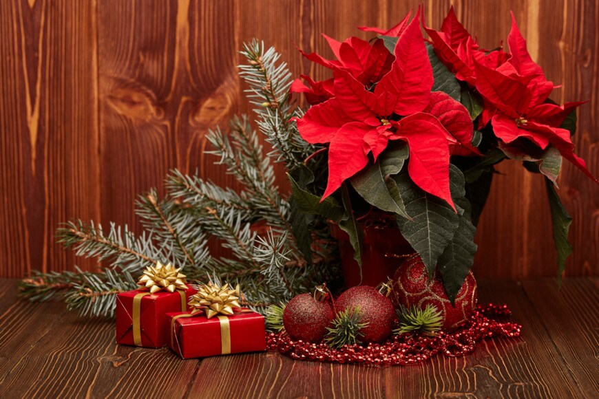 Dmitry Melnikov/istockphoto.com