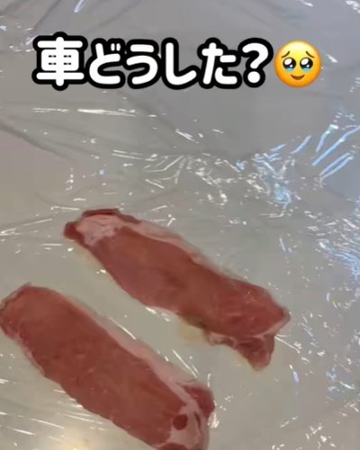 【しそとチーズを豚肉に巻いてくるくる】おかずどっさり”肉しそチーズ弁当”が美味しそう！手際の良さも圧巻