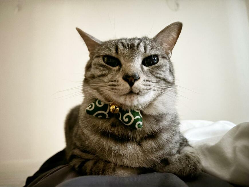 出所：@totomaru_hanmi