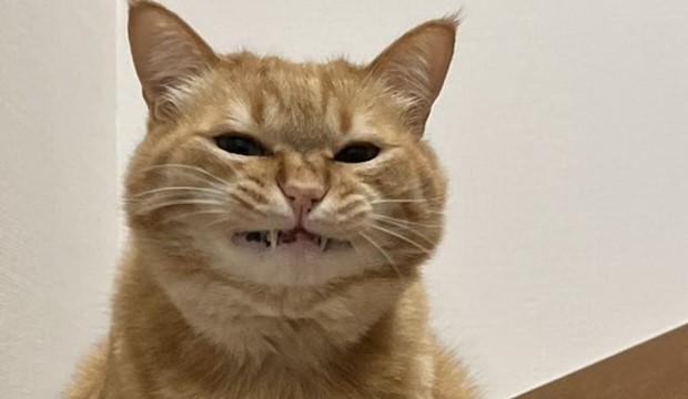 出所：@kagisuzu0531