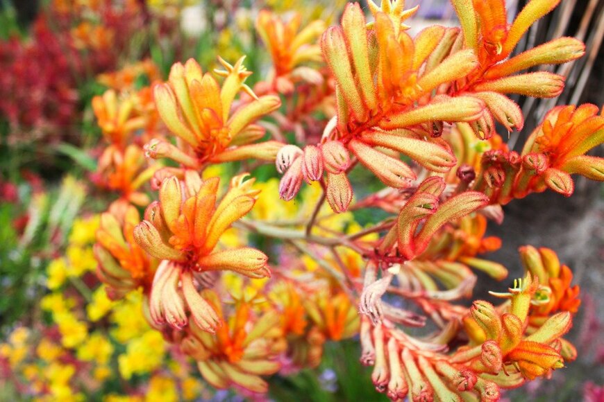 Ian Murdoch/istockphoto.com