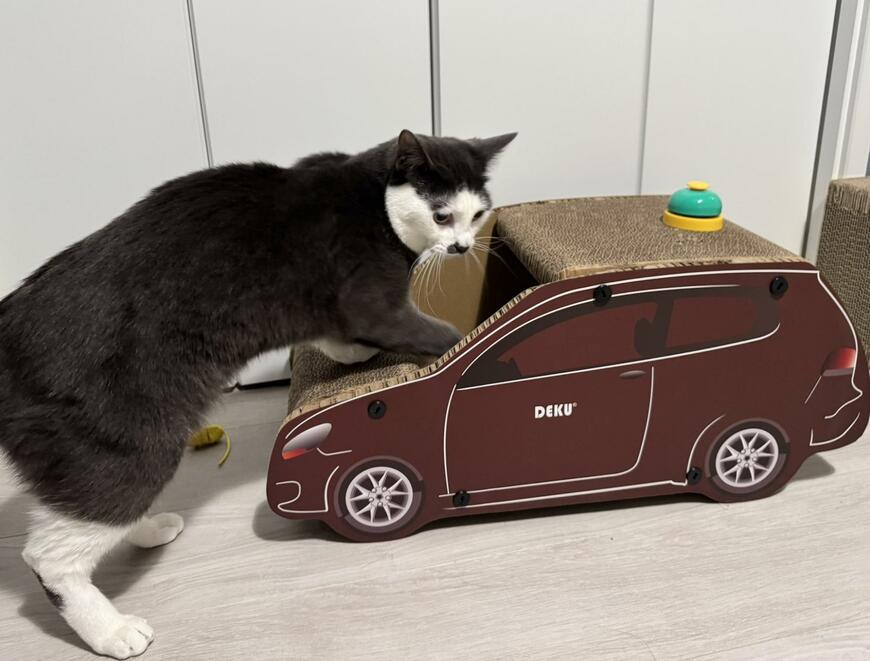 出所：@Saeroyi_cat