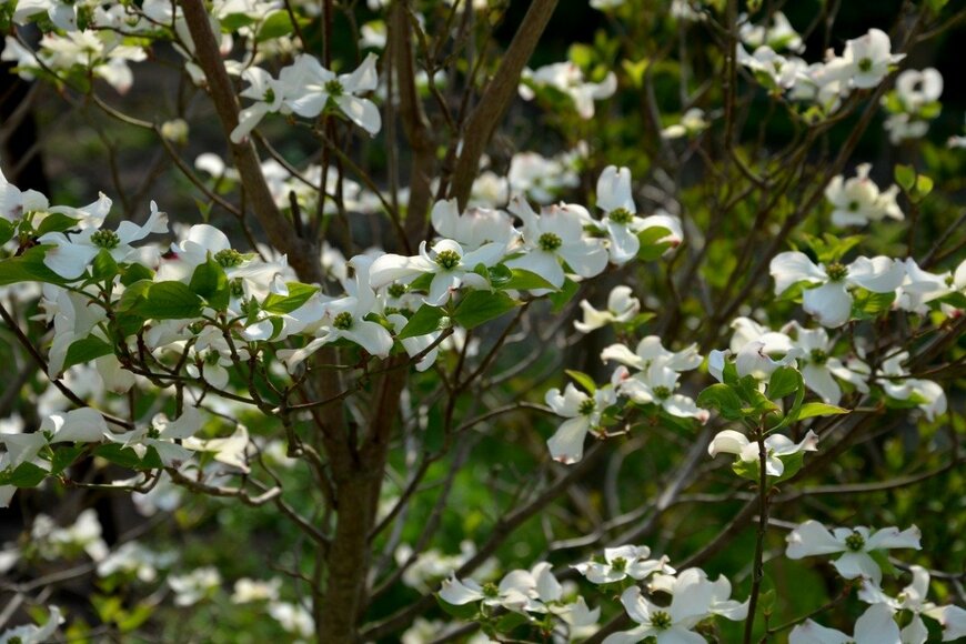 beekeepx/istockphoto.com