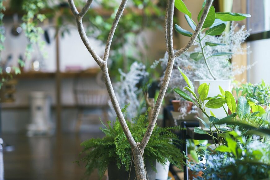 maruco/istockphoto.com 