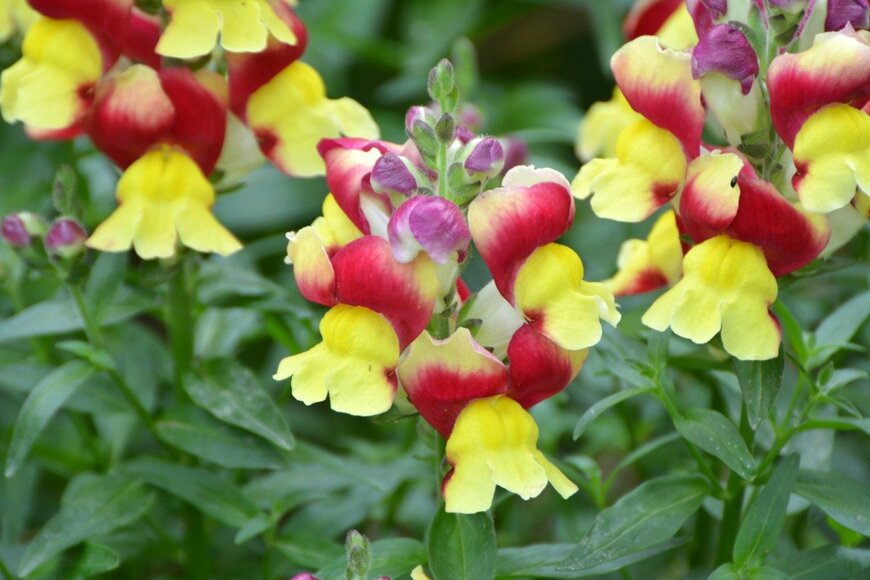 Orest Lyzhechka/istockphoto.com