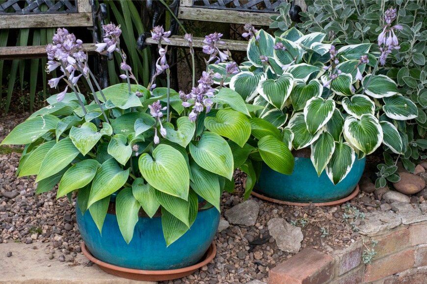 Jennifer Sanerkin/istockphoto.com