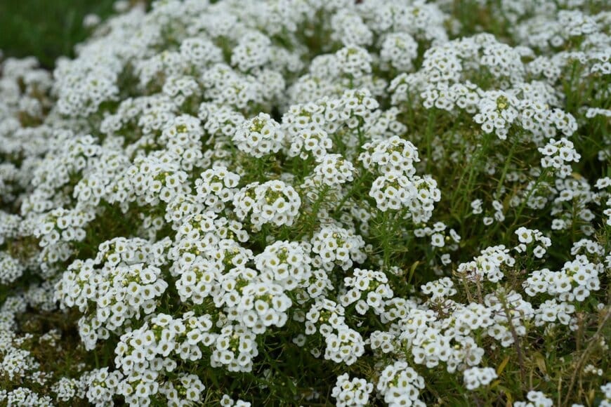 photoPOU/shutterstock.com