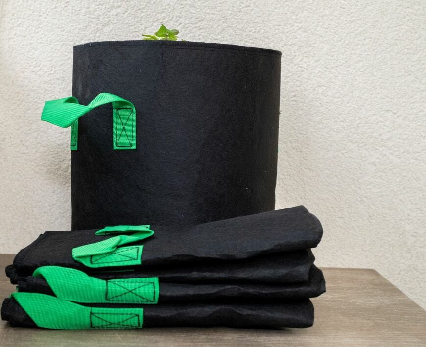 Eziu/shutterstock.com