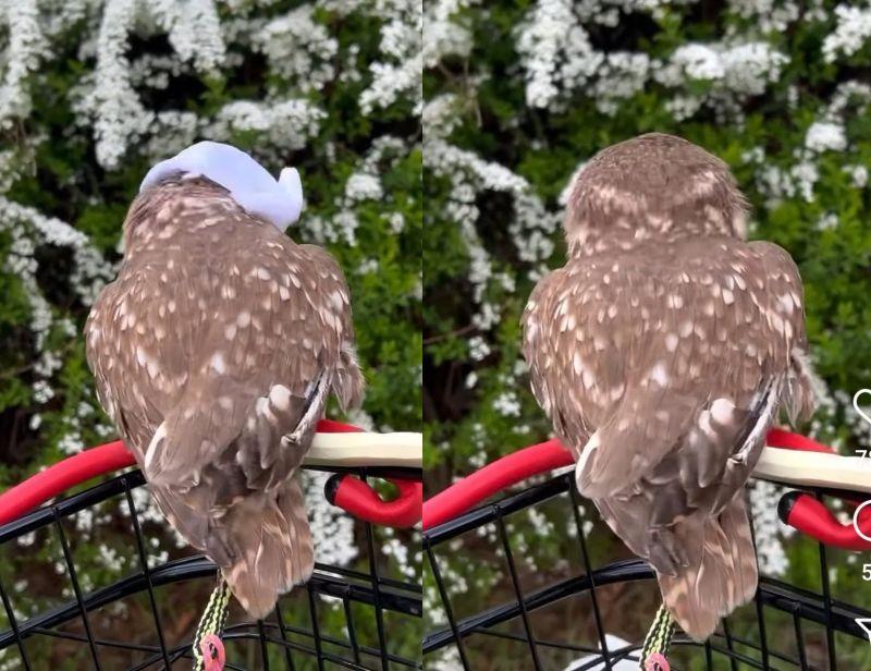 出所：@cr8673.hiro