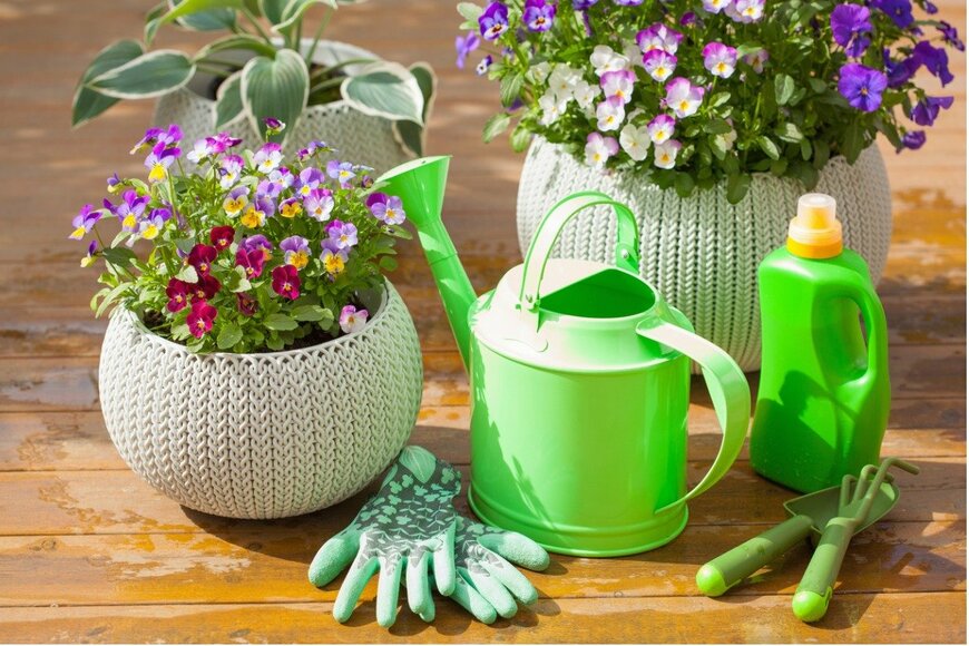 OlgaMiltsova/istockphoto.com