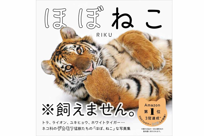 「まるで猫」な姿に癒される！ネコ科大型獣は「ねこ」に含まれますか？  猫好き必見の写真集『ほぼねこ』