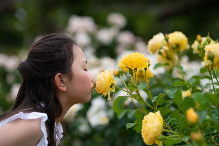 Hakase_420/shutterstock.com