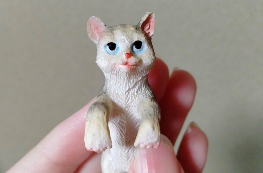 筆者撮影（ダイソー、縁にかけられるアニマル（猫））