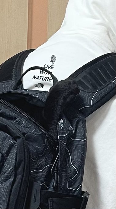 出所：＠Teagle_Noir