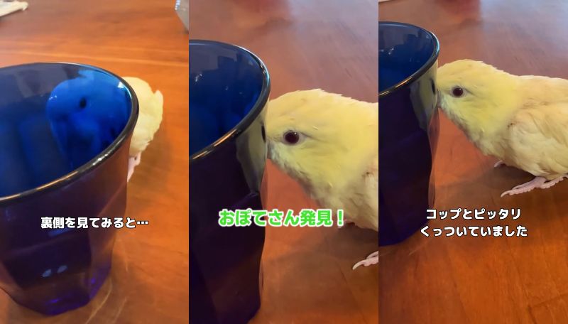 出所：@daiinkoteikoku_soraoto