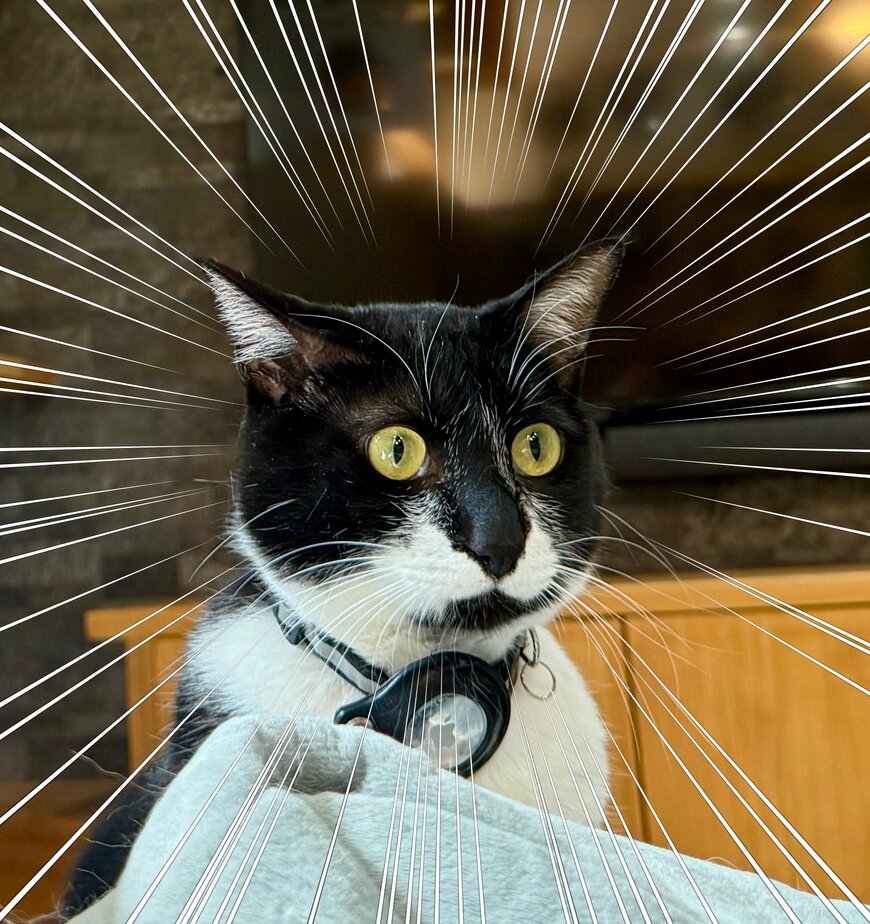 出所：@omochi_nam01