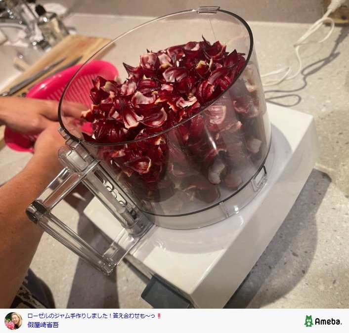 假屋崎省吾のAmebaブログ投稿