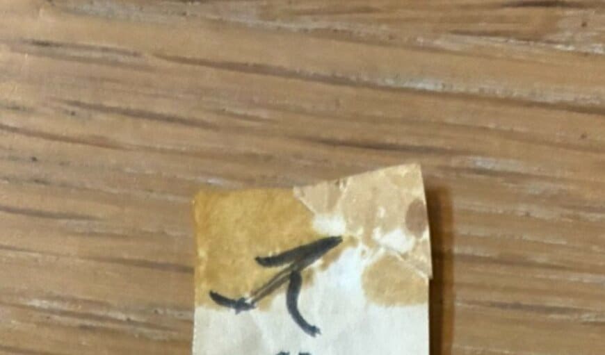 謎のお札の内容とは？