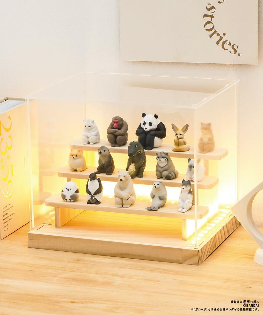 3COINS LED付きアクリルディスプレイBOX／カプセルトイコレクション