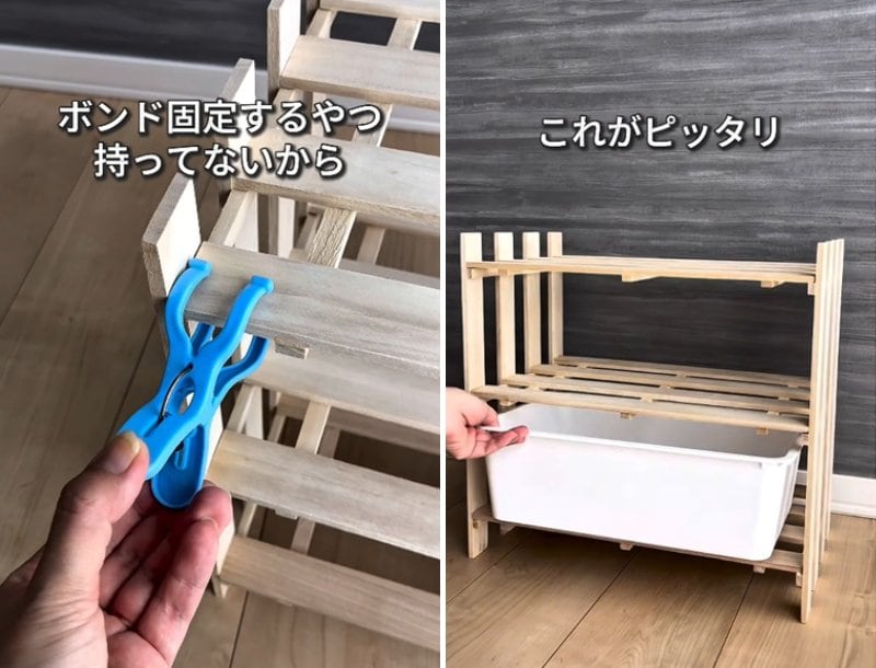 投稿の画像